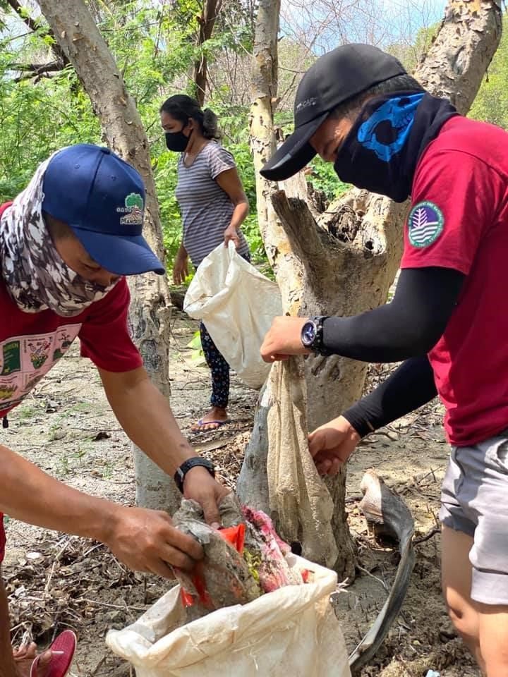 Mangrove tree planting and clean-up activity conducted by CENRO Calaca