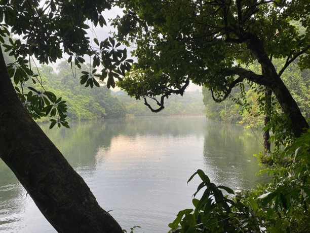CENRO Tayabas prepares Dagatan Lake for establishment as Critical Habitat