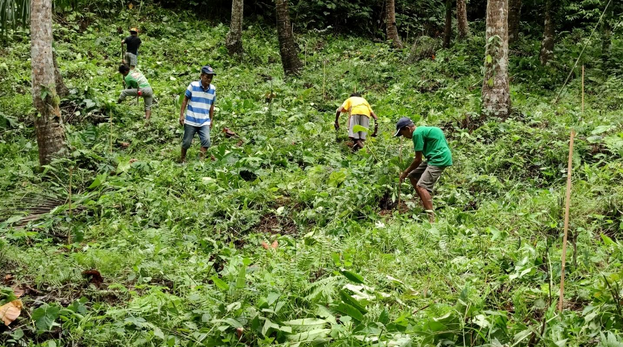CENRO Calauag mobilizes upland community for establishment of ENGP plantations in AWFR
